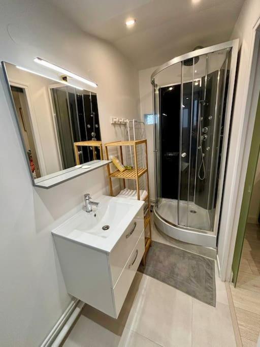 Apartament L'Escobar Troyen Troyes Zewnętrze zdjęcie